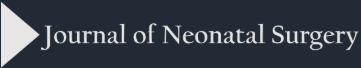 Journal of Neonatal Surgery (JNS)