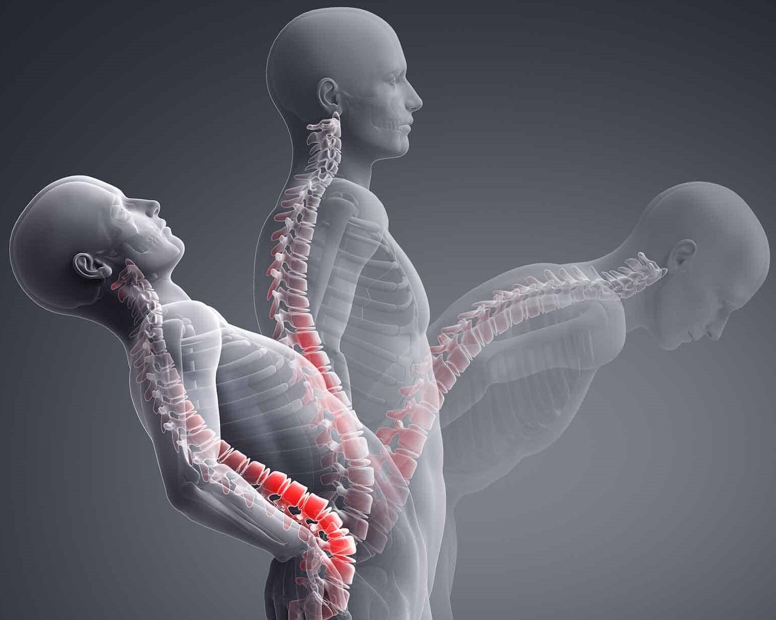 Pain, Joints, Spine (PJS)
